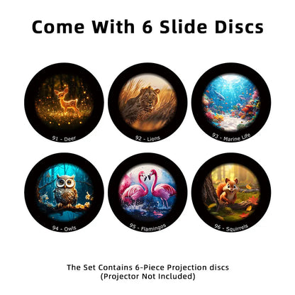 6-Disc Expansion Pack – Celestial Dream Projector™ Pro