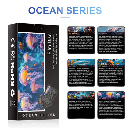 Set of 6 More Disc Projections (compatible with 1.0 version)